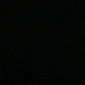 Meet your Posher, Gloria